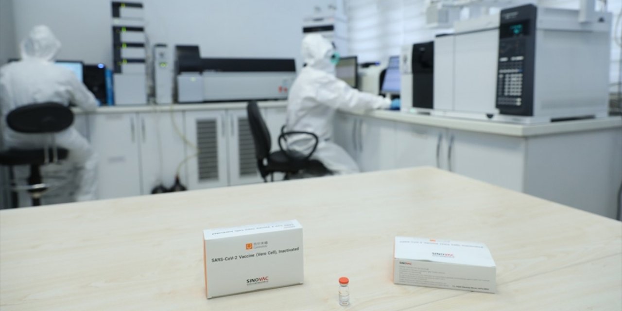 Türkiye'de uygulanacak CoronaVac aşılarına 'acil kullanım onayı'nda sona gelindi
