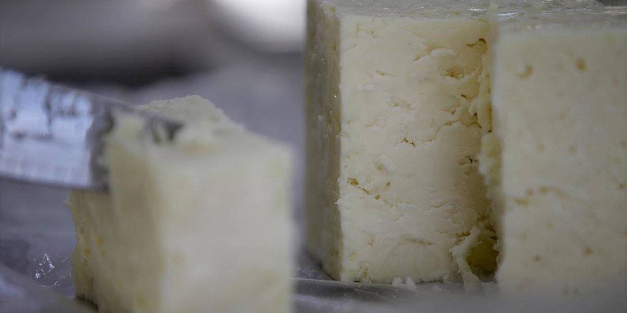 Lezzetini Istrancalar'da yetişen zengin bitkilerden alan Kırklareli peyniri tescillendi