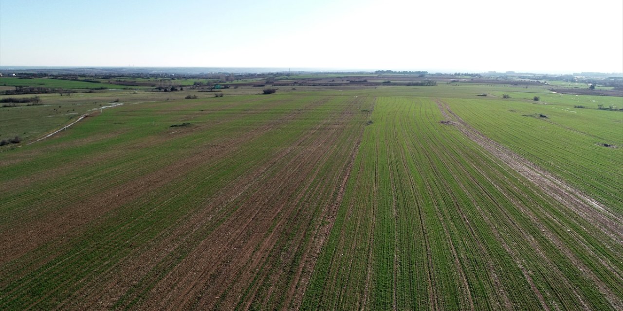 Arazi toplulaştırması ve tarla içi geliştirme hizmetlerine ilişkin usul ve esaslar değiştirildi
