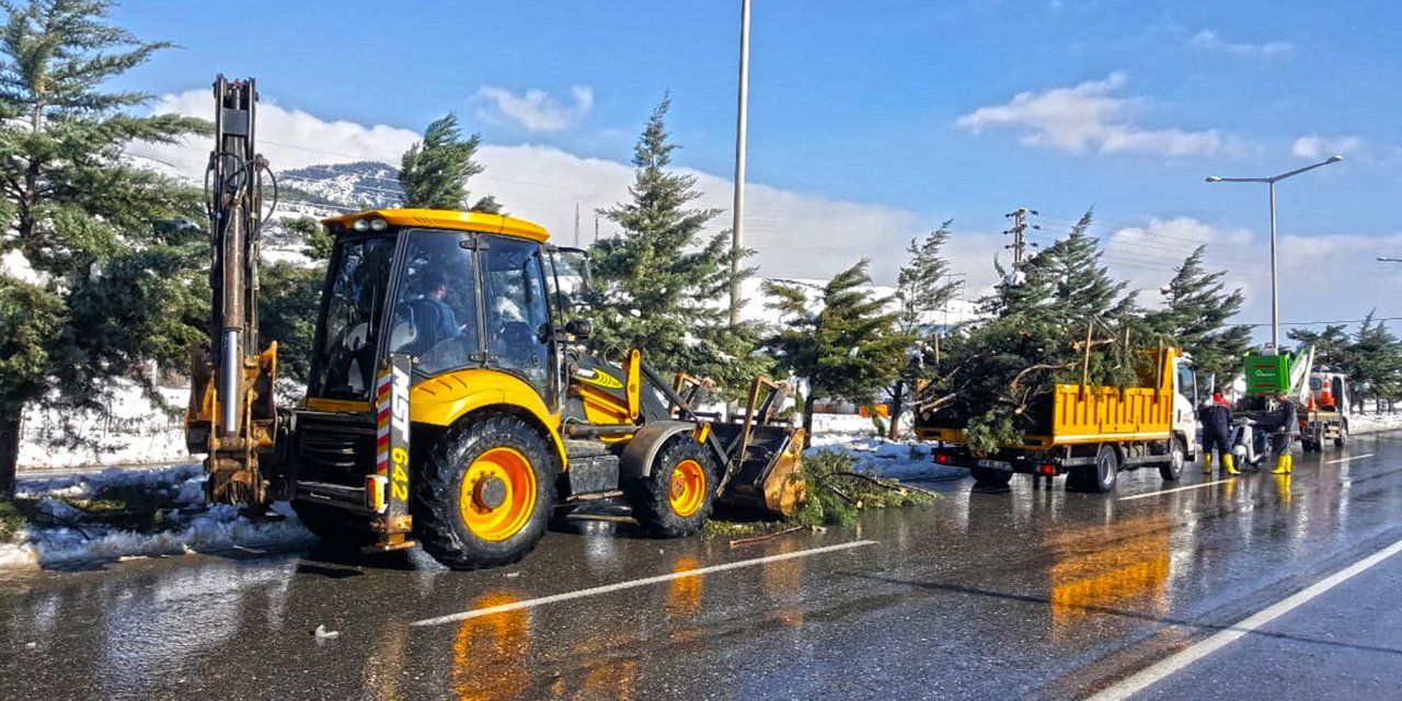 Kahramanmaraş’ta devrilen ağaçlar temizlendi