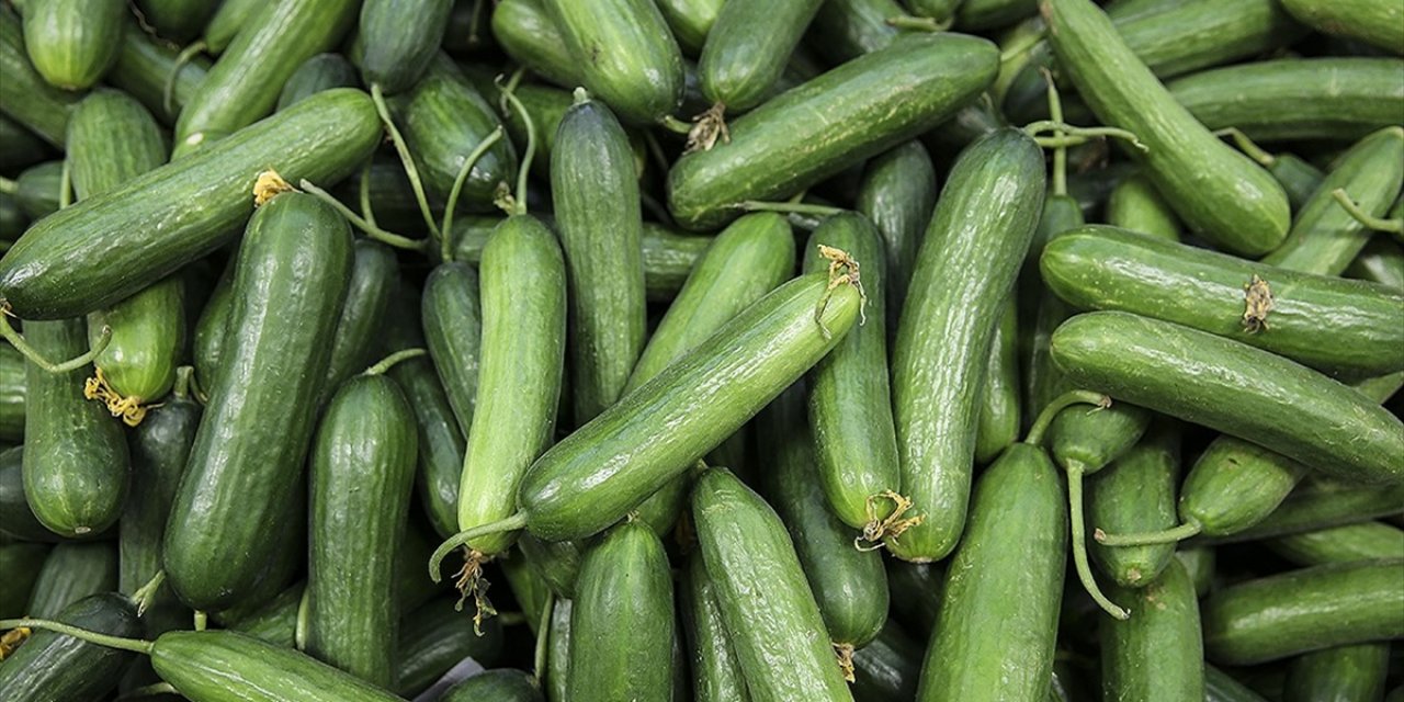 Ocakta en çok salatalığın fiyatı arttı