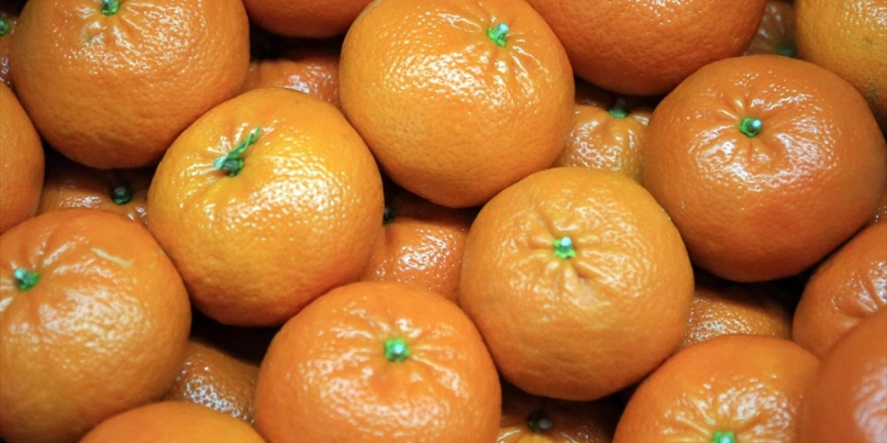 Ocakta fiyatı en fazla artan ürün mandalina, en çok düşen ise karnabahar oldu