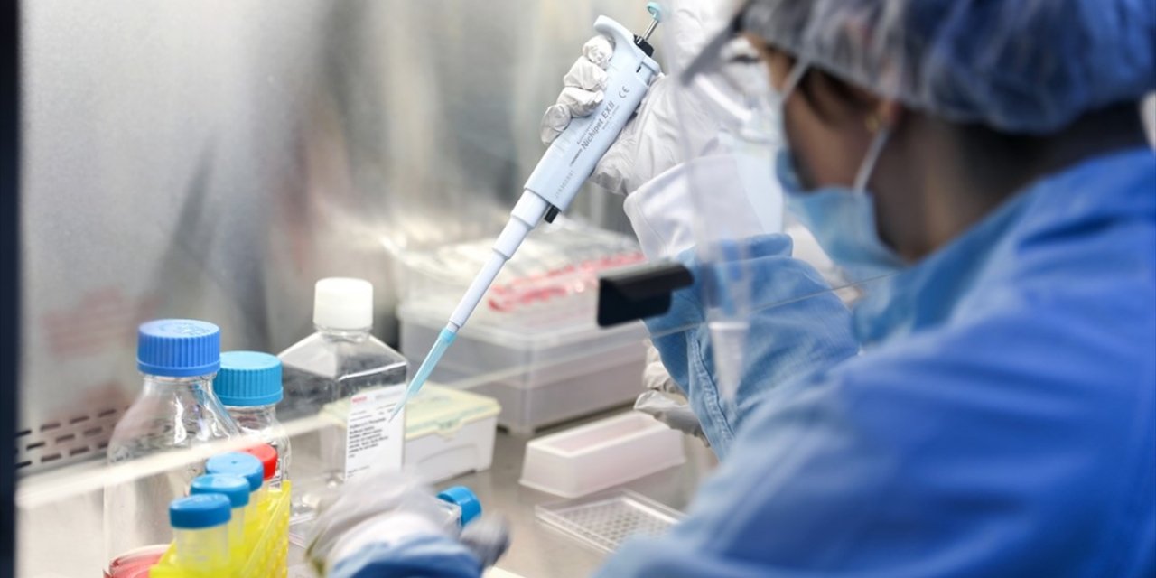 Uzmanlara göre yeni tehlike mutasyonlu Kovid-19 virüsü