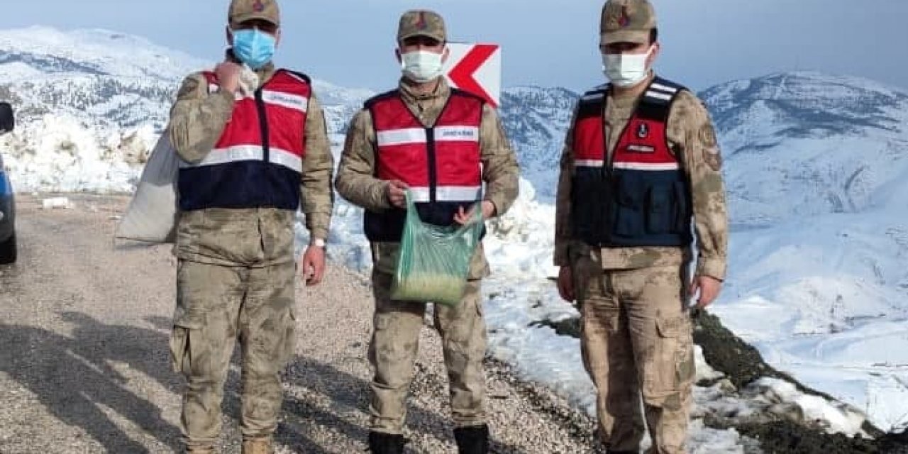 Kahramanmaraş'ta jandarma yaban hayvanlarını unutmadı