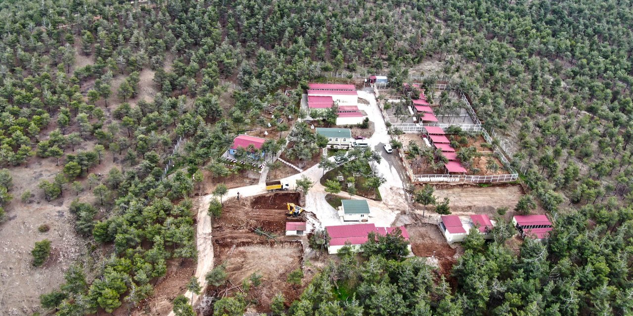 Kahramanmaraş’ta Sokak Hayvanları Rehabilitasyon Merkezi yenileniyor