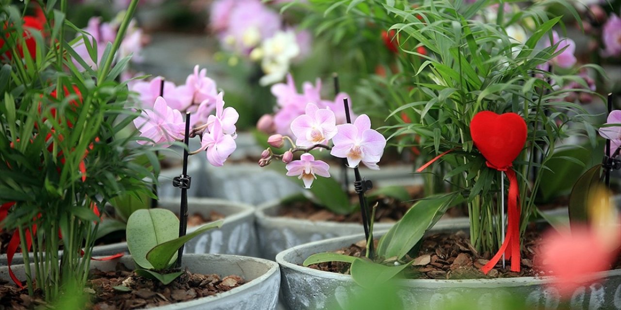 Hafta sonu kısıtlamasına denk gelen Sevgililer Günü için hediyeler erkenden alınacak