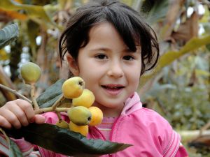 Turfanda Yenidünya 150 Lira