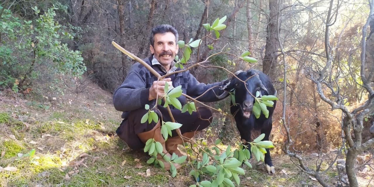 Kahramanmaraş'ta kayalıklarda mahsur kalan keçinin imdadına kurtarma ekipler