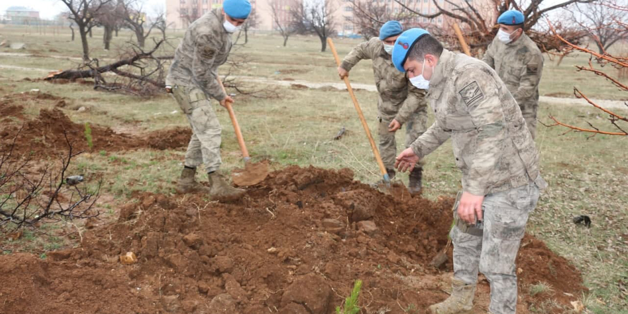 Afşin’de komandolar fidan dikti