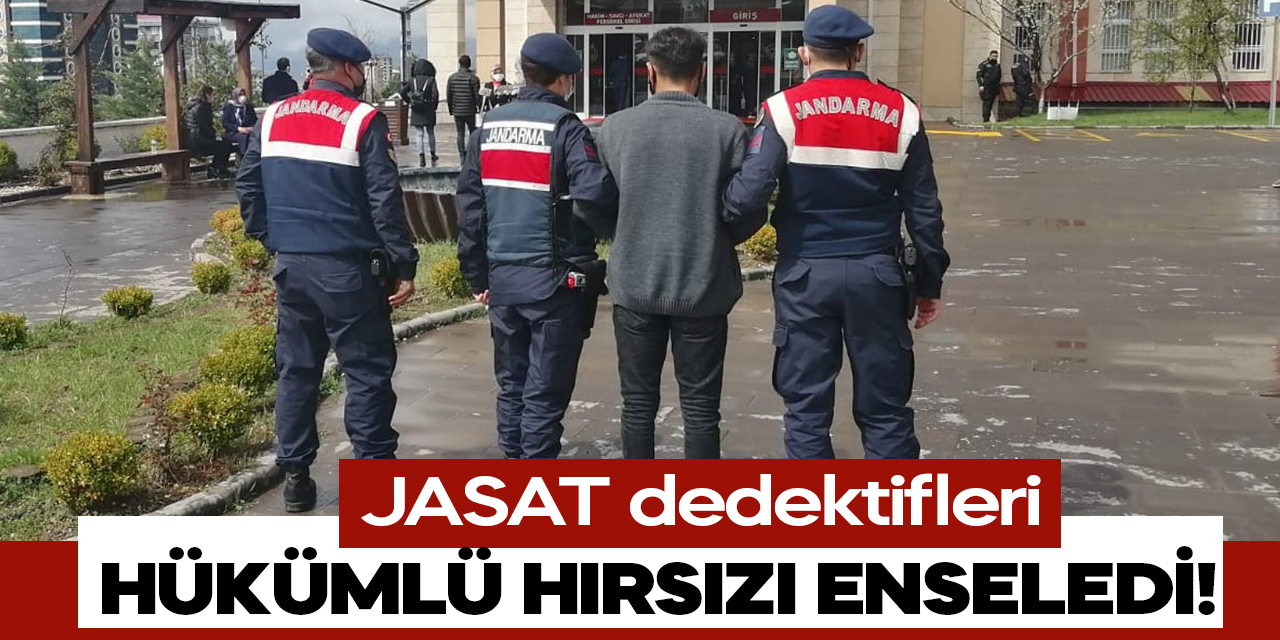 Kahramanmaraş'ta JASAT dedektifleri hükümlü hırsızı enseledi