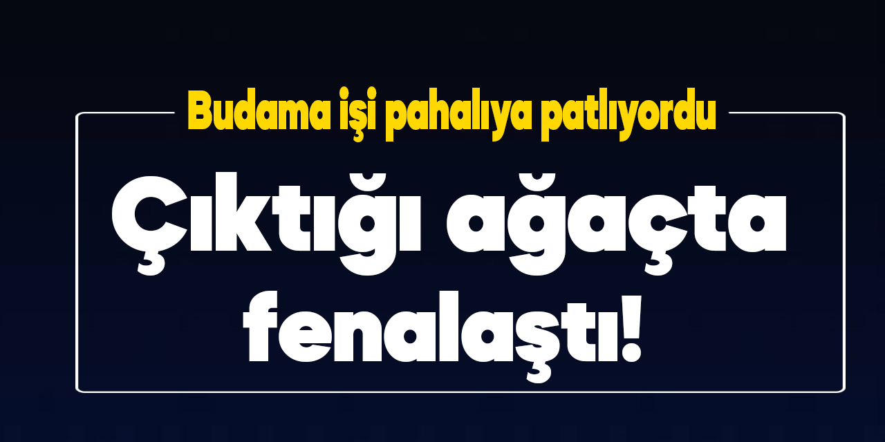 Kahramanmaraş'ta budama yapan vatandaş çıktığı ağaçta fenalaştı