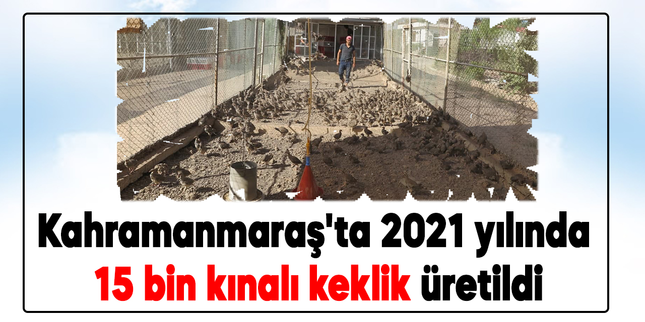 Kahramanmaraş'ta 2021 yılında 15 bin kınalı keklik üretildi