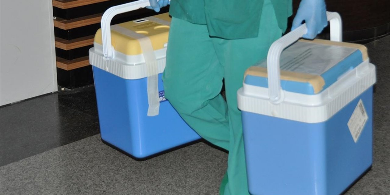 Kovid-19 nedeniyle geçen yıl azalan organ nakilleri artmaya başladı