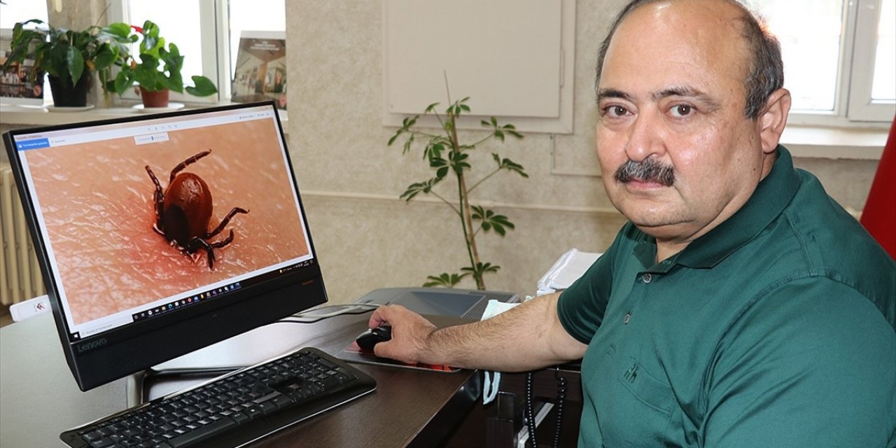 Kene popülasyonundaki artış endişelendiriyor