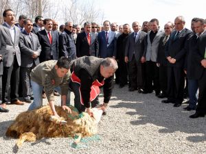 Bbp Lideri Destici Suşehrinde