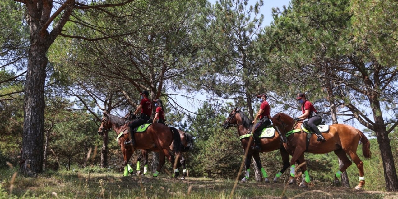 İstanbul Valiliği: 30 Temmuz-31 Ağustos tarihleri arasında ormanlara girmek yasaklanmıştır