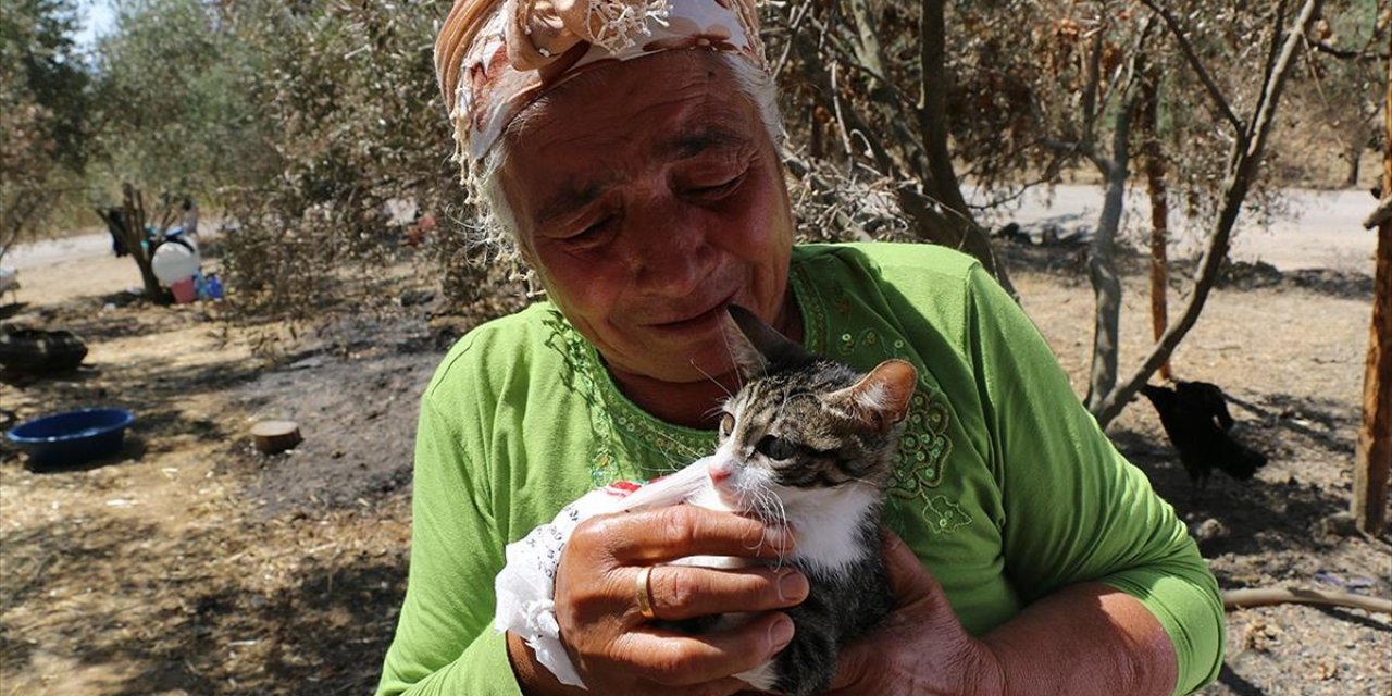 Orman yangınından son anda kurtulan yaşlı çift, tedavi edilen kedilerine kavuştu