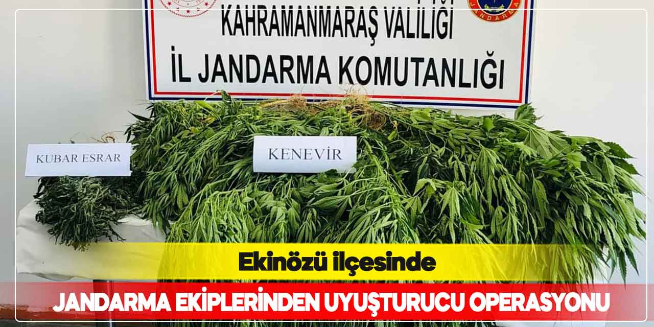 Ekinözü'nde uyuşturucu operasyonu! 1 kişi yakalandı