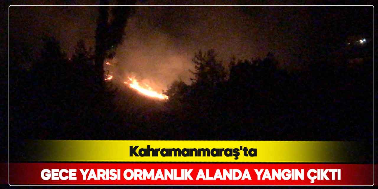 Kahramanmaraş'ta gece yarısı ormanlık alanda yangın çıktı