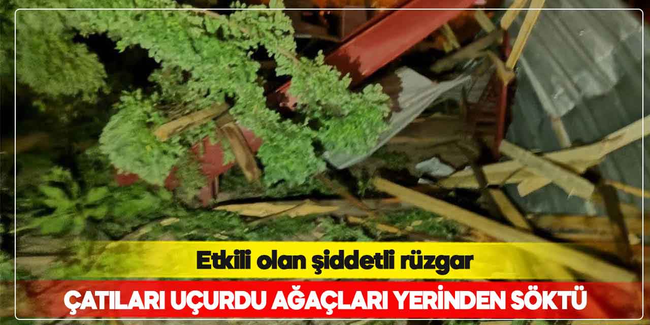 Kahramanmaraş’ta şiddetli rüzgar çatıları uçurdu ağaçları yerinden söktü