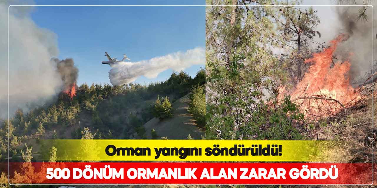 Kahramanmaraş’ta orman yangını söndürüldü