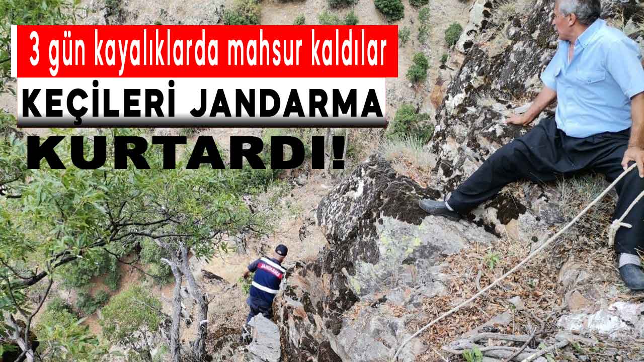 Kahramanmaraş'ta 3 gündür kayalıklarda mahsur kalan keçileri jandarma kurtardı