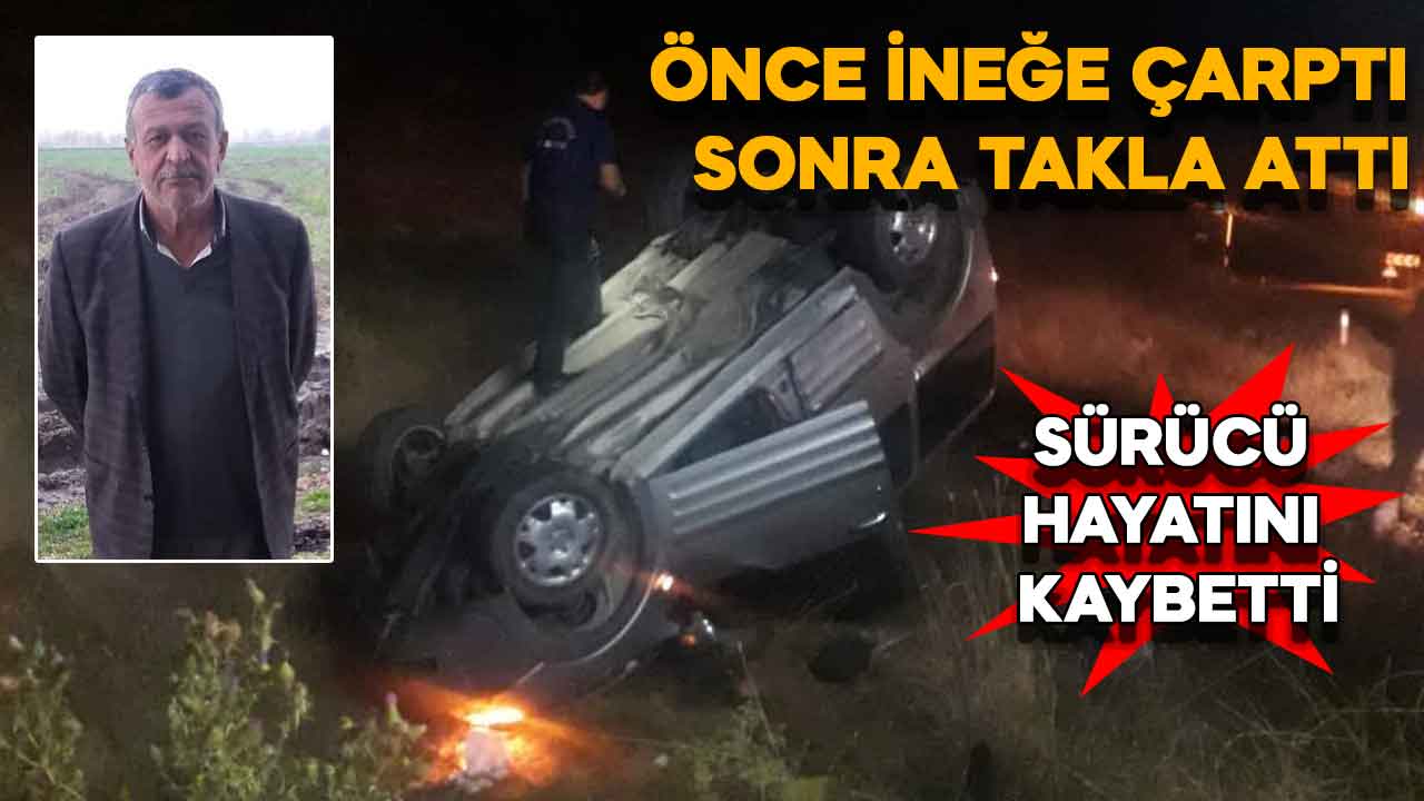 Kahramanmaraş'ta ineğe çarpan araç takla attı, sürücü hayatını kaybetti
