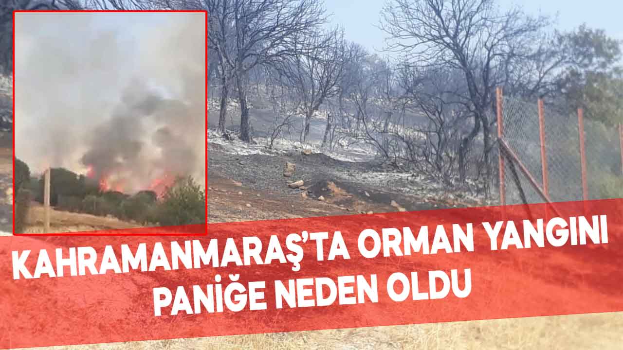 Kahramanmaraş’ta çıkan orman yangınına ekiplerden anında müdahale