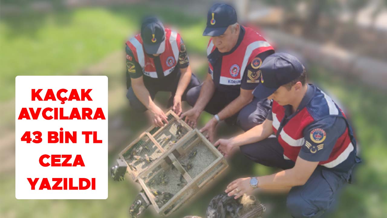 Kaçak avcılara 43 bin tl ceza yazıldı