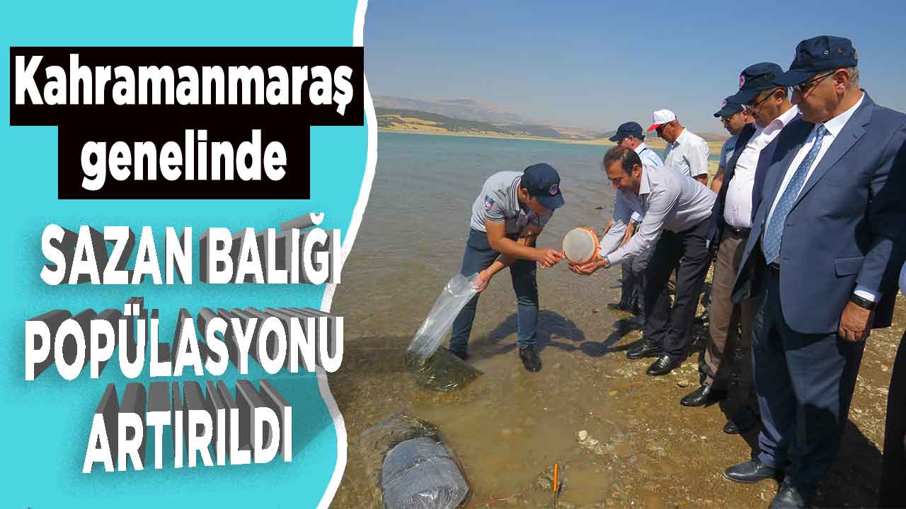 Kahramanmaraş’ta Kartalkaya Barajı’nda sazan balığı popülasyonu artırıldı