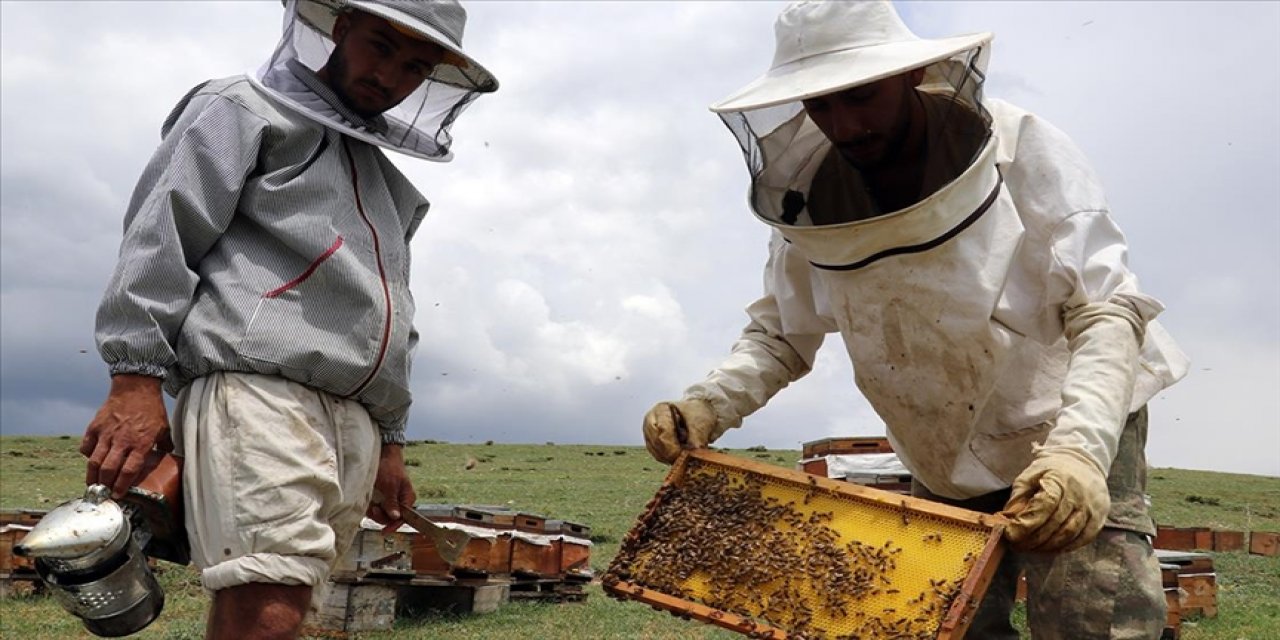 Türkiye Arıcılar Birliği ve Güvenilir Ürün Platformu toplantısında "arıcıların derdine derman olun" çağrısı