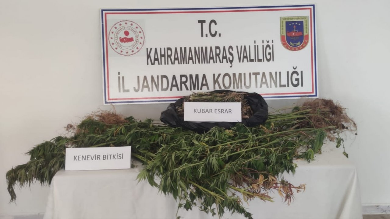 Evinin bahçesini uyuşturucu tarlasına çevirmiş