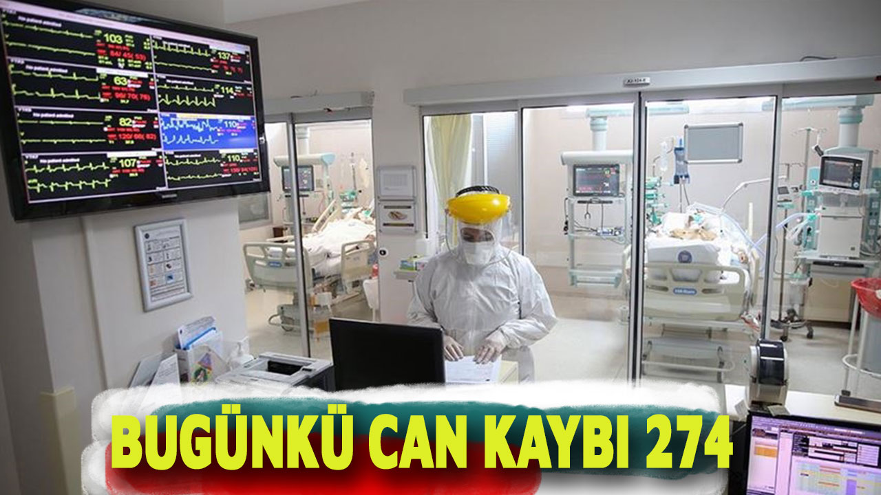 Bugünkü can kaybı 274