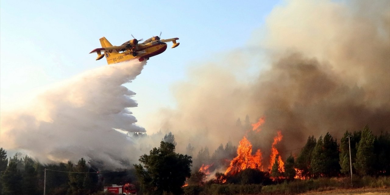 İspanya'nın güney bölgesindeki yangınlar devam ediyor