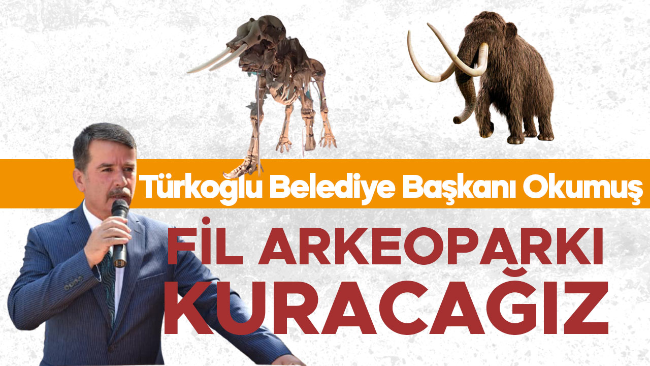 Türkoğlu Belediye Başkanı Okumuş: Fil Arkeoparkı kuracağız