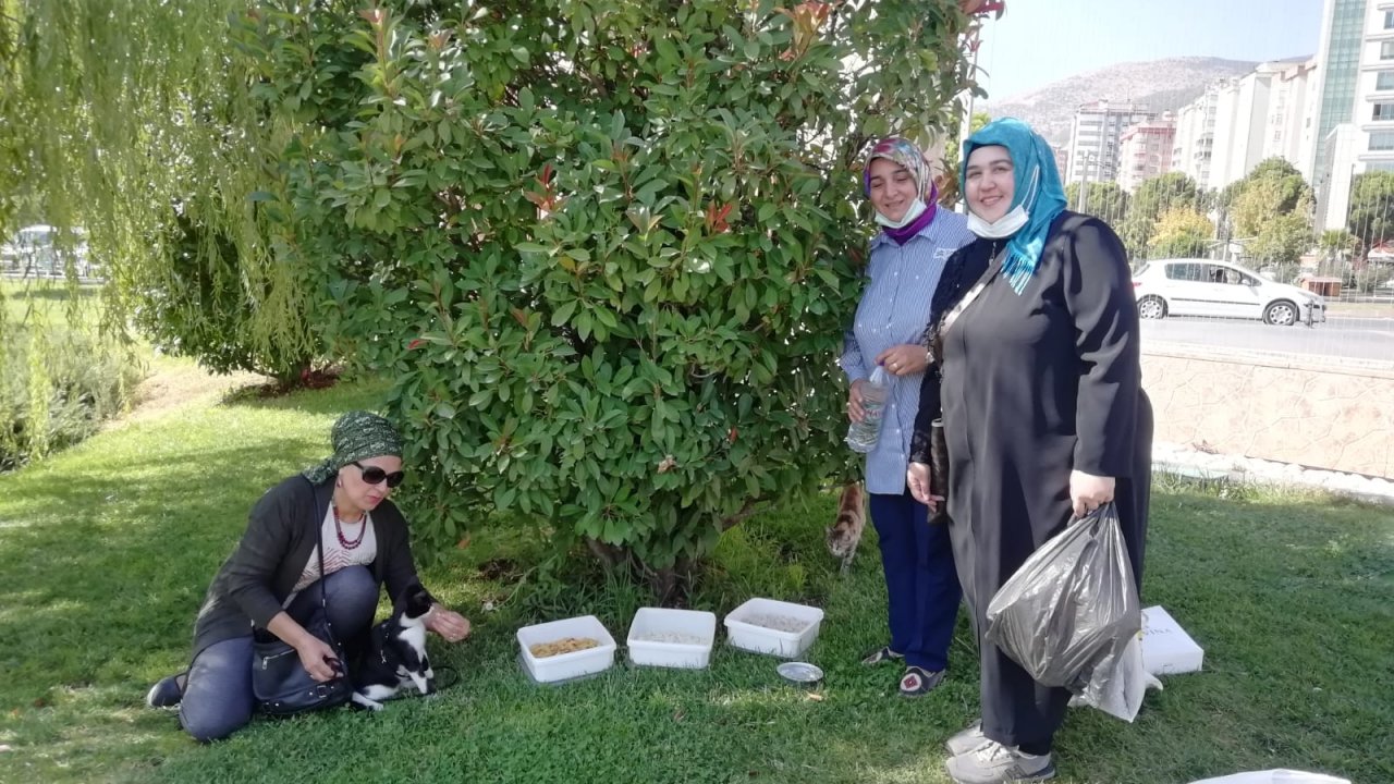Deva Partisi Sokak Hayvanlarına Mama Ve Su Bıraktı