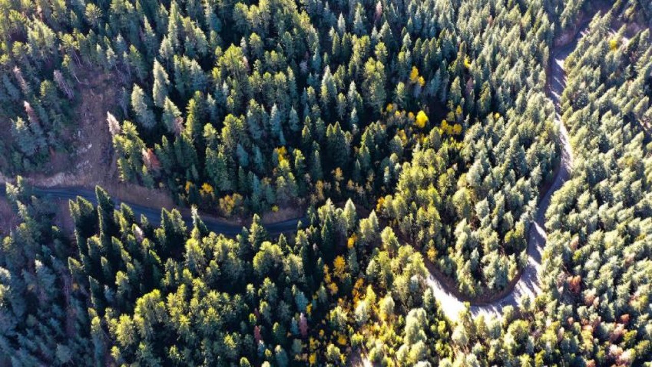 Doğa Harikası Yavşan’ın Yolu Baştan Sona Yenilendi