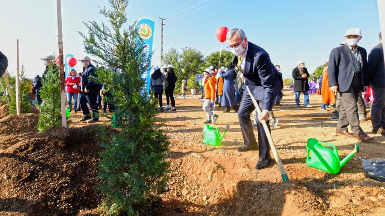 Başkan Güngör: Yedikuyular Bölgesi Ağaçlandırılacak