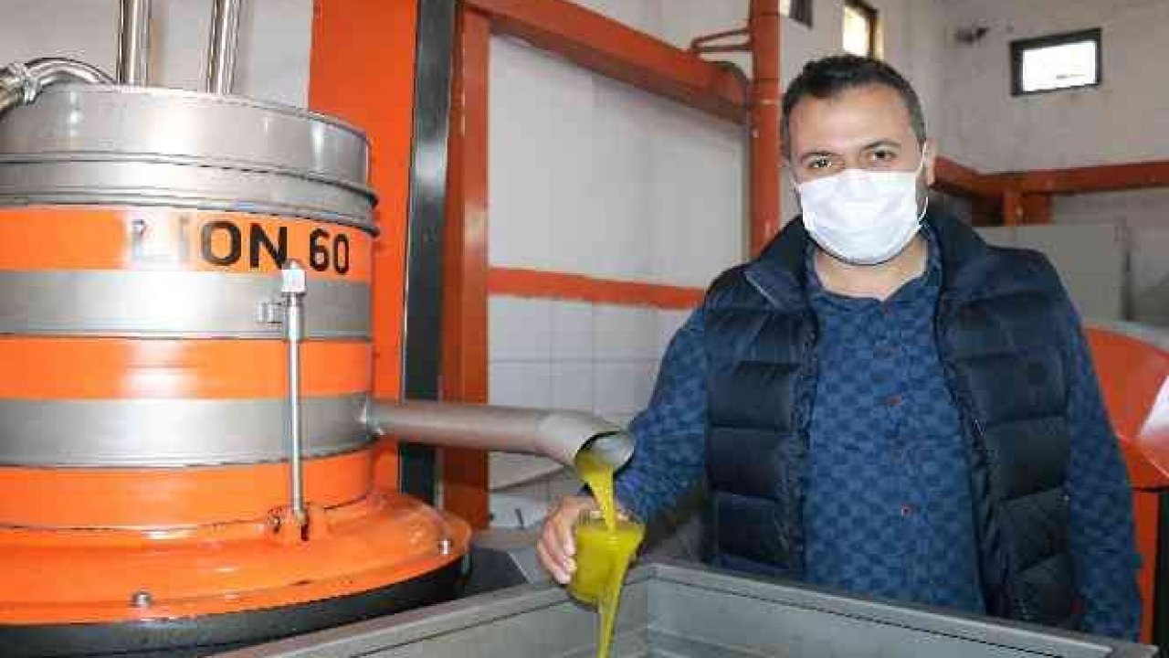 Kahramanmaraş'ta üretilen zeytinyağlarında hedef Avrupa