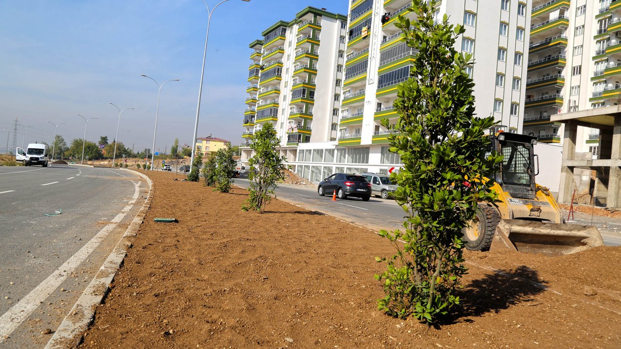 Cadde ve Bulvarlar Ağaçlarla Güzelleştiriliyor