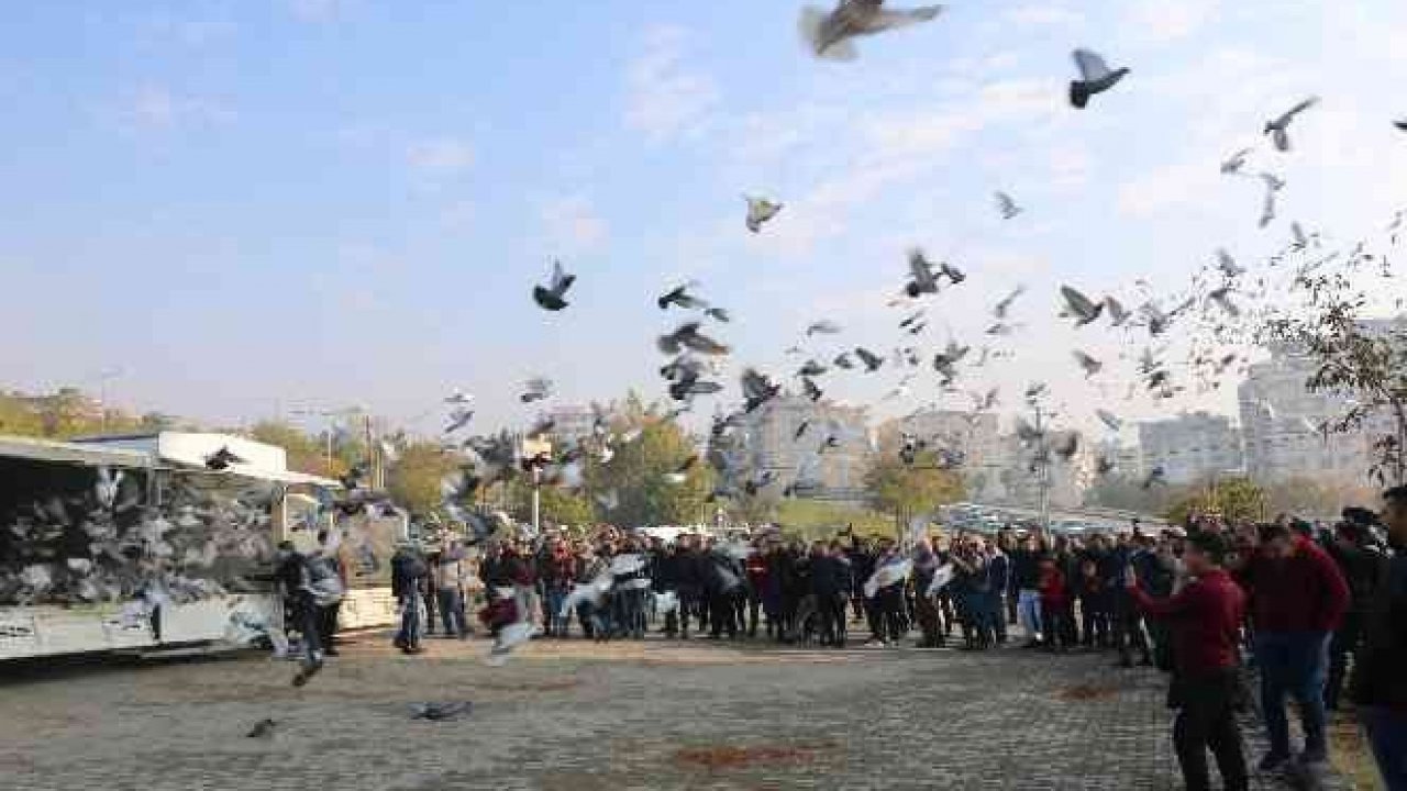 Kahramanmaraş'ta 6 bin güvercin gökyüzüne salındı