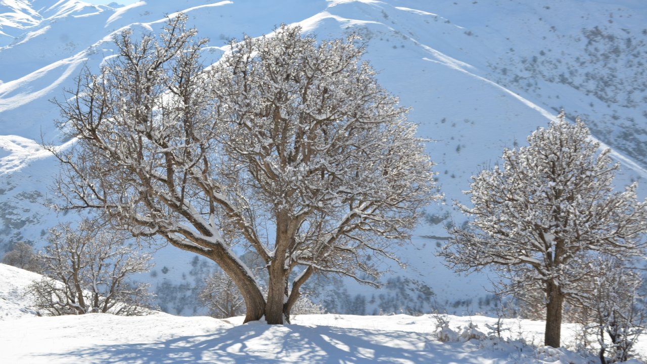 Şırnak’ta termometreler eksi 21 dereceyi gösterdi, dereler dondu