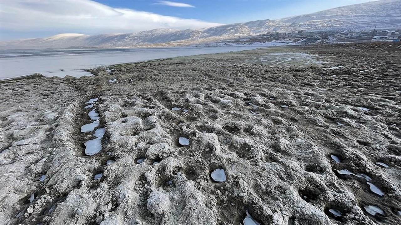 İklim değişikliği pelikanların yuvası Aktaş Gölü'nde su seviyesini düşürdü