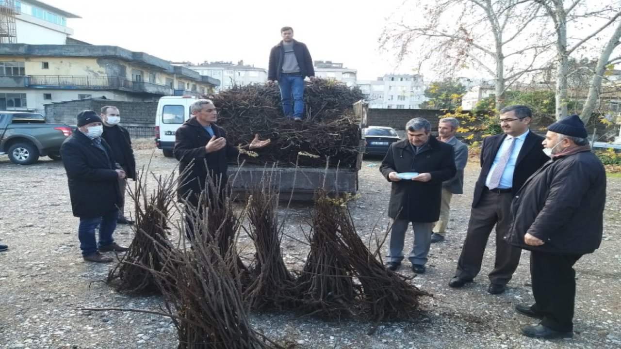 Kahramanmaraş'ta Sumak fidanı dağıtıldı
