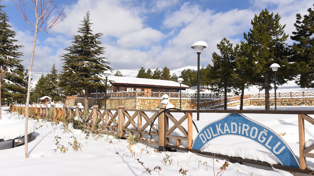 Kahramanmaraş'ta ki Yalnız Ardıç mesire yeri görüntüsüyle büyülüyor