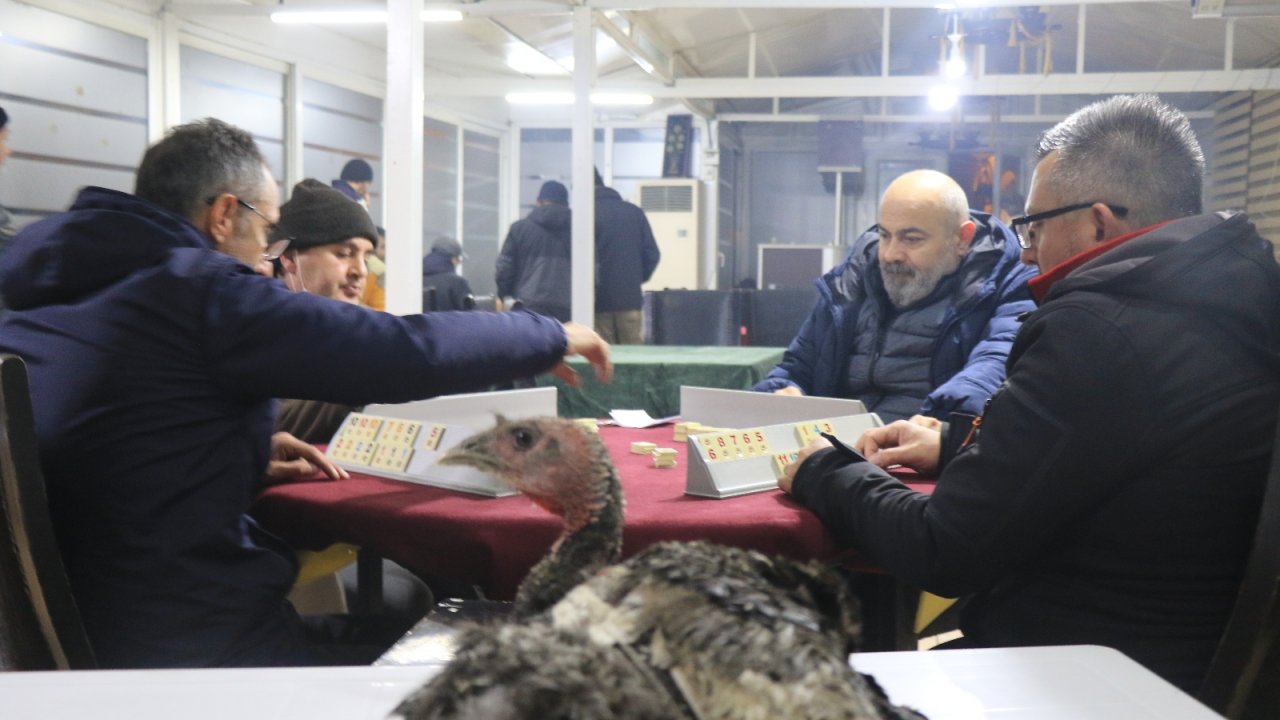 Zonguldak’ta hindi ödüllü okey turnuvası renkli görüntülere sahne oldu