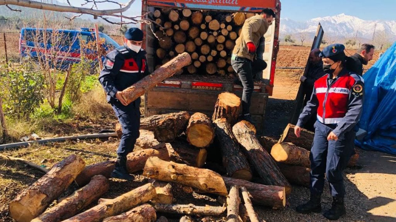 Kahramanmaraş'ta jandarma ihtiyaç sahiplerine yakacak yardımında bulundu