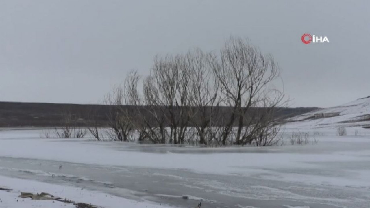 Yurtta kara kış etkisini artırıyor