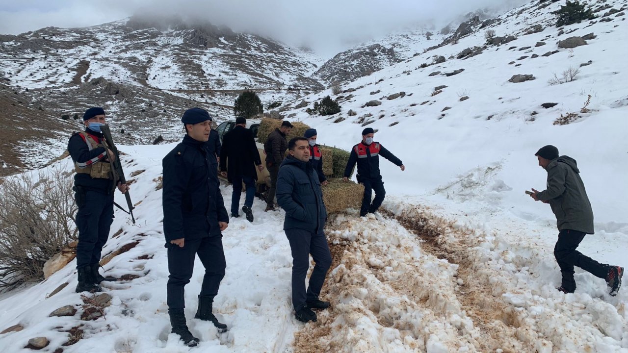 Jandarma doğa hayvanlarını unutmadı  