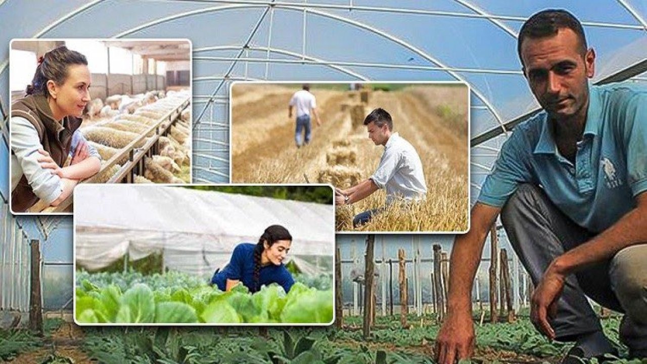 Tarım ve Orman Bakanlığı hibe desteği verecek